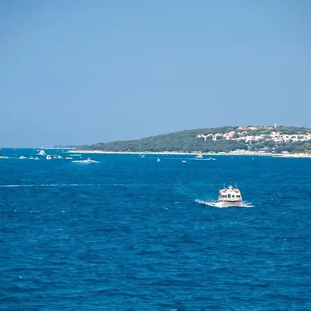 Seaside House Andrea - 3br With Balcony & Sea View By Irundo Rovinj