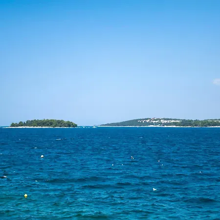 Seaside House Andrea - 3br With Balcony & Sea View Apartment *